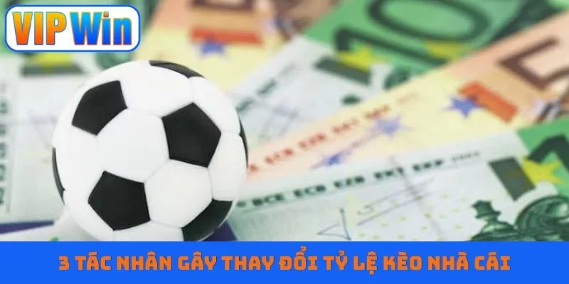 3 tác nhân gây thay đổi tỷ lệ kèo nhà cái