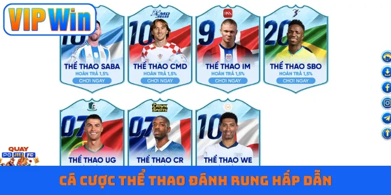 Cá cược thể thao đánh rung hấp dẫn